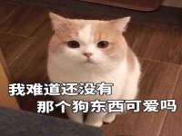 昆山聚垒商贸有限公司