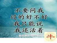 昆山聚垒商贸有限公司