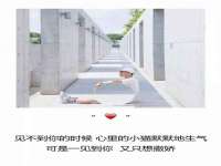 昆山聚垒商贸有限公司