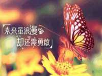 昆山聚垒商贸有限公司