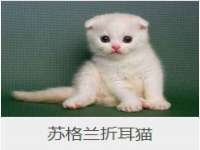 昆山聚垒商贸有限公司