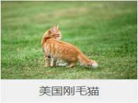 昆山聚垒商贸有限公司
