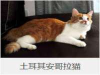 昆山聚垒商贸有限公司