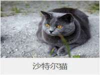 昆山聚垒商贸有限公司