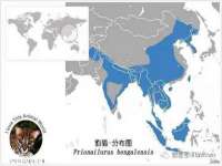 昆山聚垒商贸有限公司