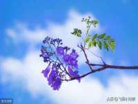 昆山聚垒商贸有限公司
