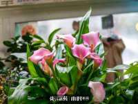 昆山聚垒商贸有限公司