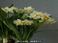 昆山聚垒商贸有限公司