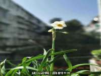 昆山聚垒商贸有限公司