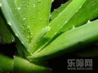 昆山聚垒商贸有限公司
