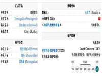 昆山聚垒商贸有限公司