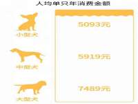 昆山聚垒商贸有限公司