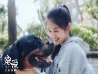 昆山聚垒商贸有限公司