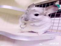 昆山聚垒商贸有限公司