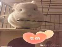 昆山聚垒商贸有限公司