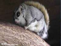 昆山聚垒商贸有限公司