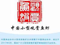 昆山聚垒商贸有限公司