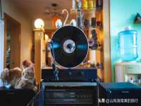 昆山聚垒商贸有限公司