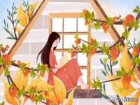 昆山聚垒商贸有限公司