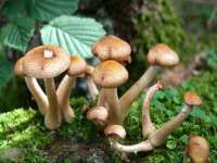 昆山聚垒商贸有限公司